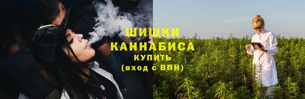 PSILOCYBIN Вязьма