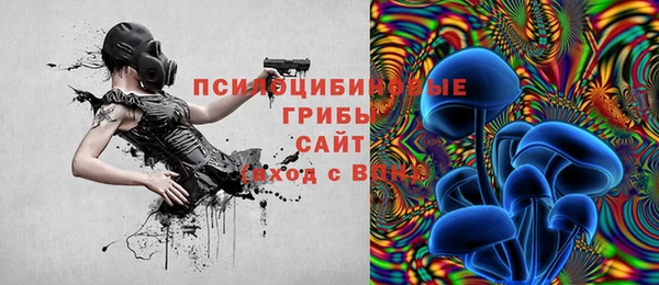 PSILOCYBIN Вязьма