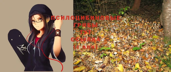 кокаин Вяземский