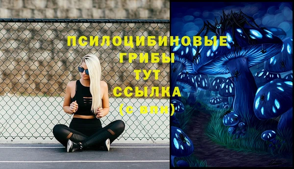 кокаин Вяземский